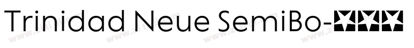 Trinidad Neue SemiBo字体转换